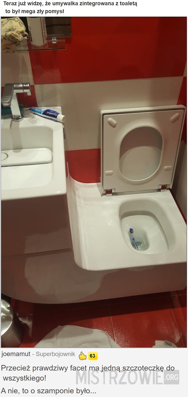Umywalka zintegrowana z toaletą –  