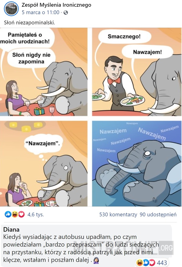 Słoń niezapominalski –  
