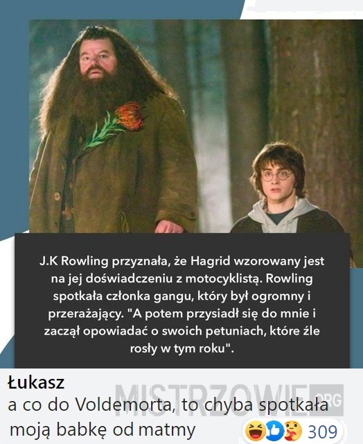 Hagrid –  