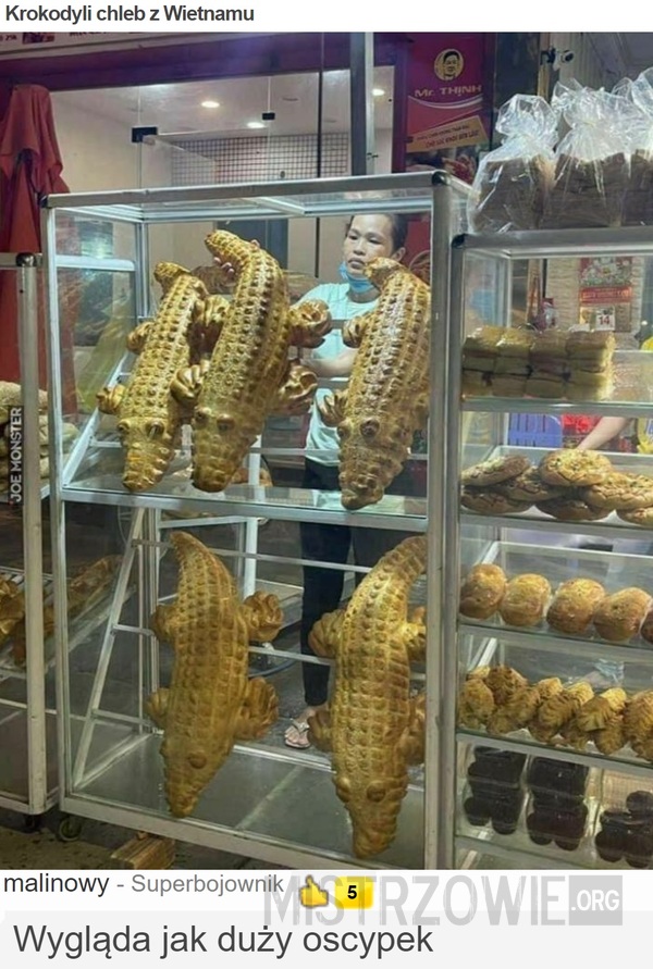 Krokodyli chleb z Wietnamu –  