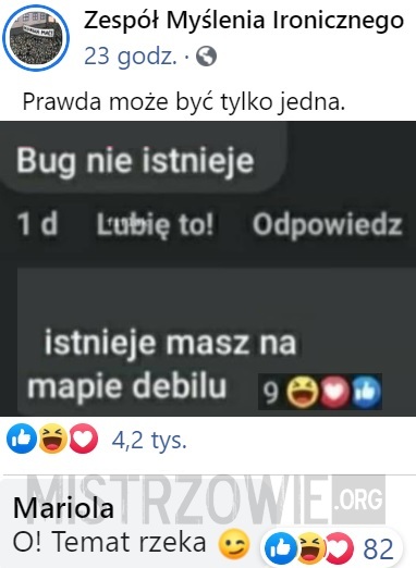 Bug –  