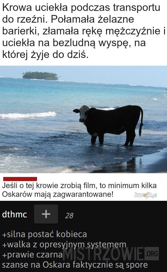 Krowa –  