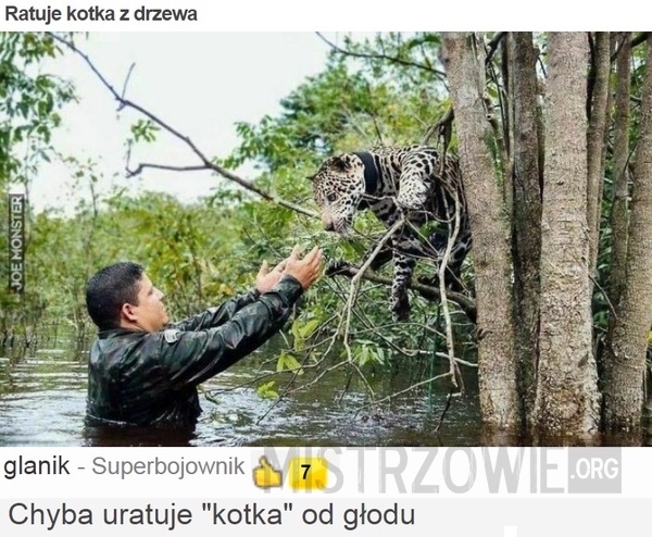 Ratuje kotka z drzewa –  