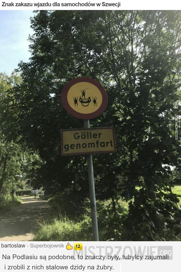 Znak zakazu wjazdu dla samochodów w Szwecji –  
