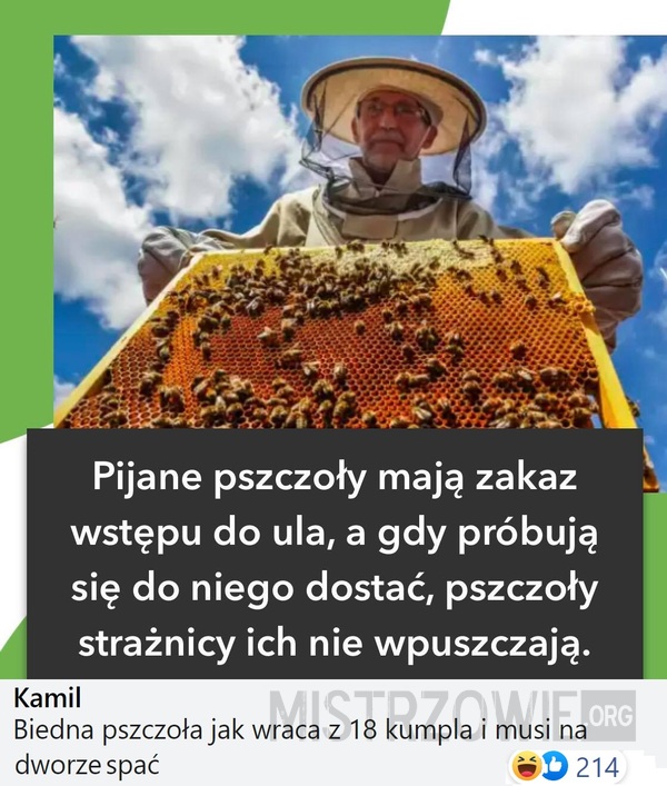 Pszczoły –  