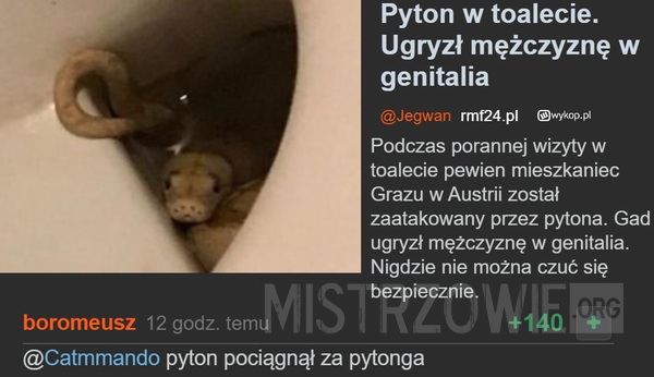 Pyton –  
