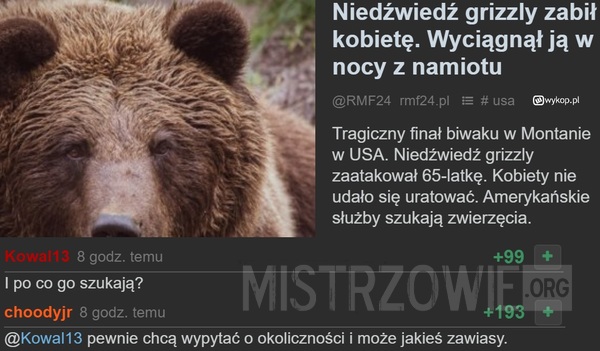 Grizzly –  