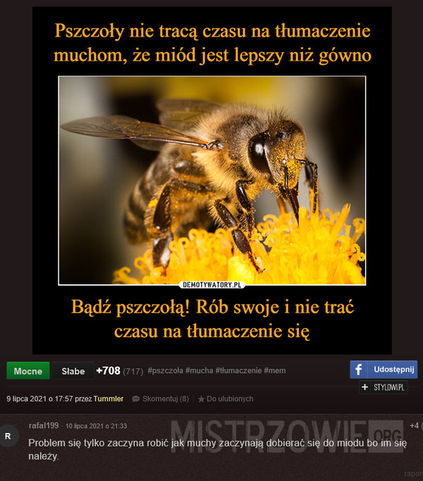 Muchy i pszczoły –  