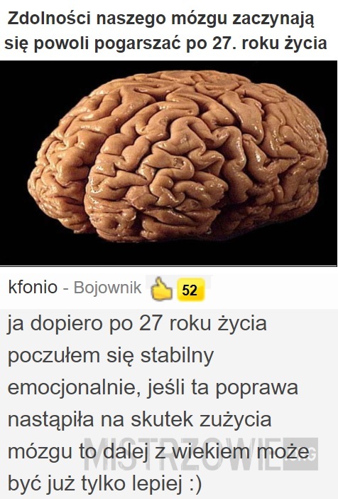 Mózg –  