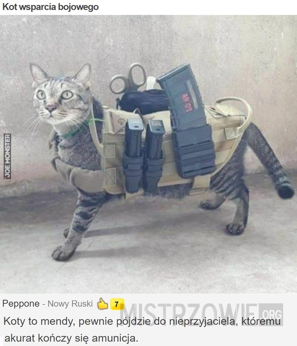 Kot wsparcia bojowego –  
