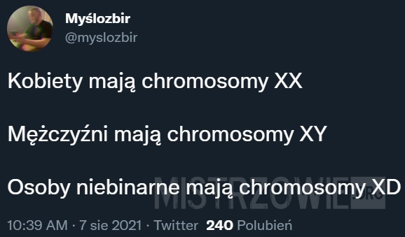 Chromosomy –  