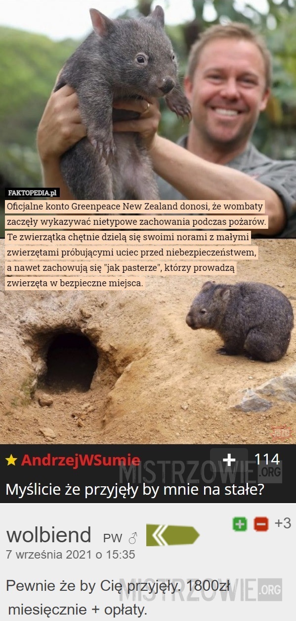Wombat 2 –  