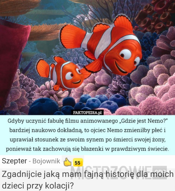 Nemo –  
