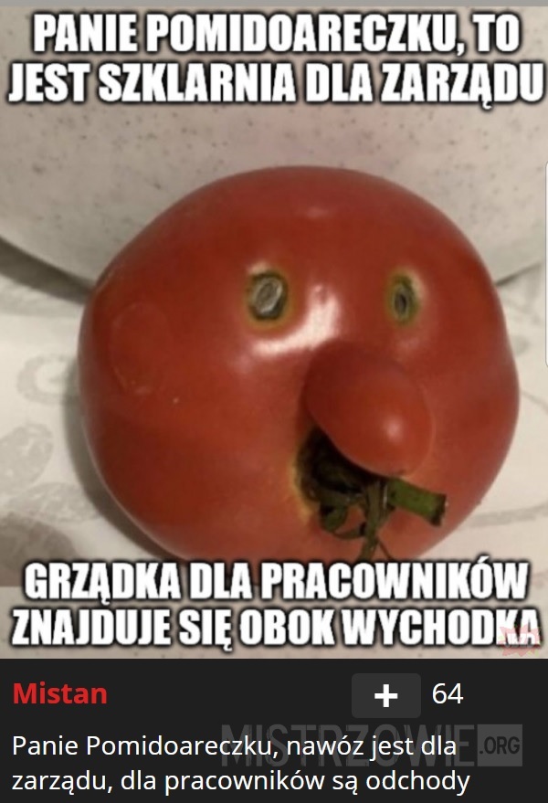 Pomidoareczek –  