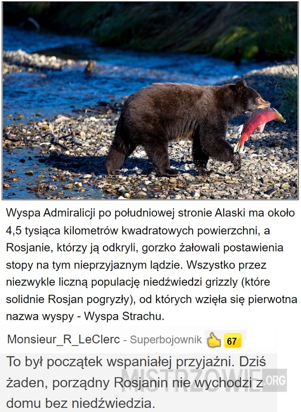 Grizzly –  