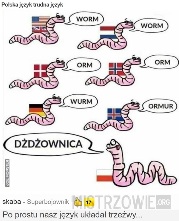 Polska język trudna język –  
