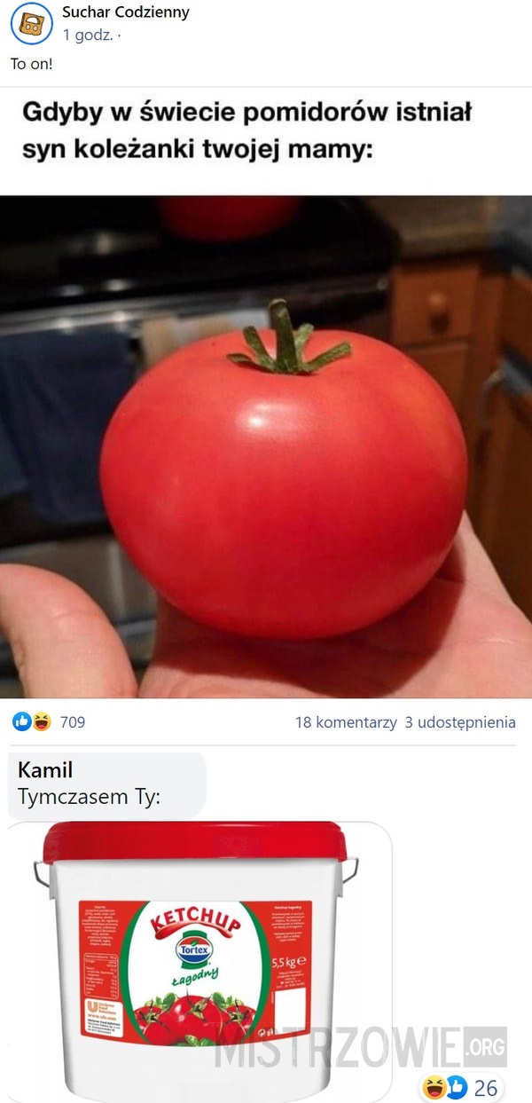 Pomidor –  