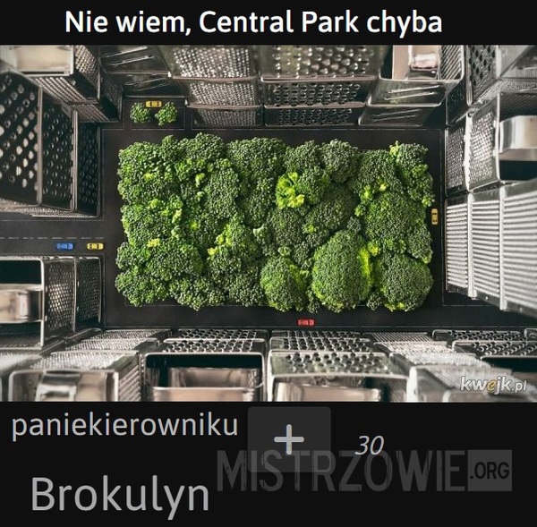 Central Park –  