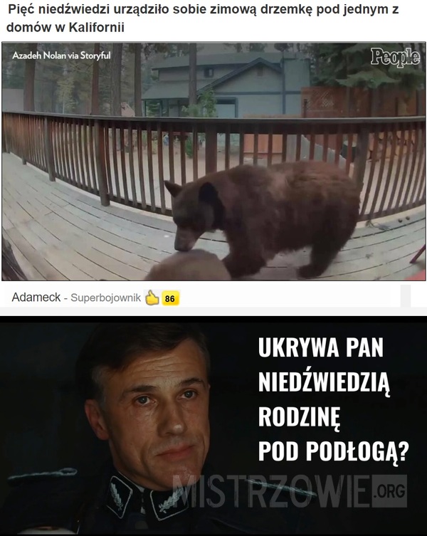 Niedźwiedzie –  