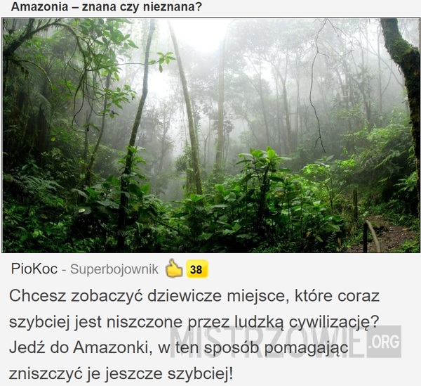 Amazonia –  