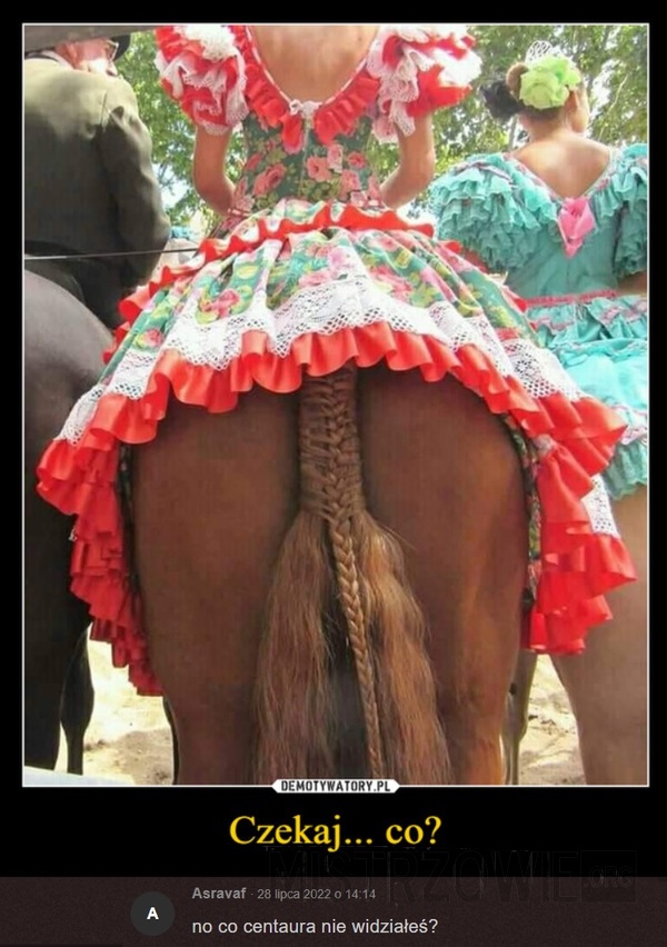 Dziewczyna na koniu –  