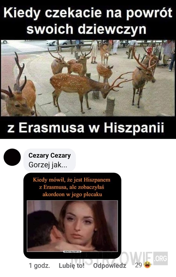 Erasmus –  
