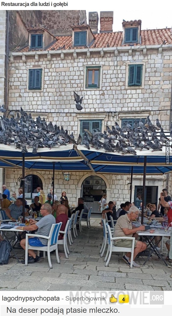 Restauracja dla ludzi i gołębi –  
