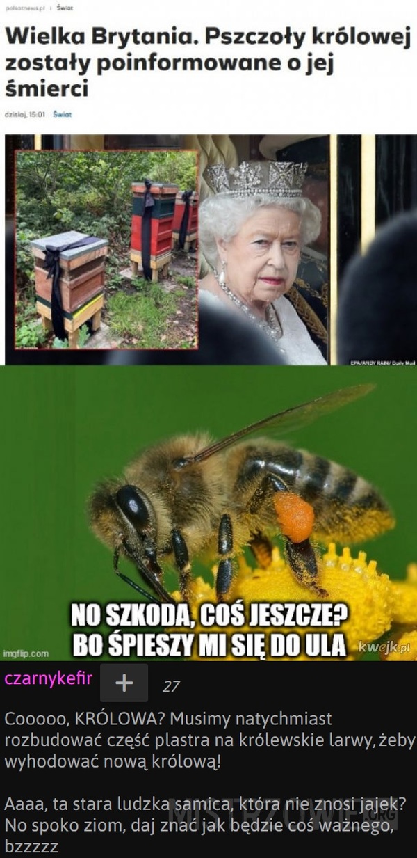Pszczoły –  