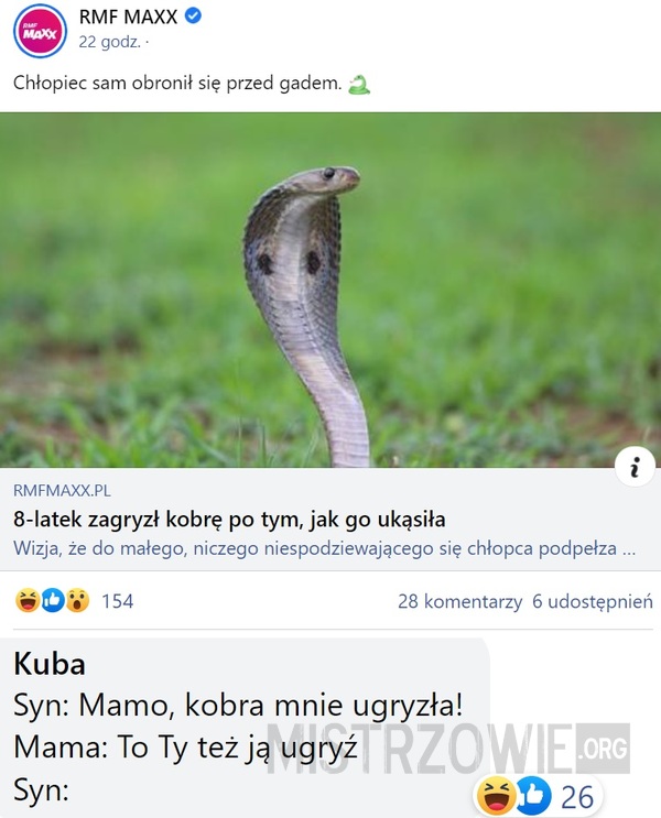 Kobra –  