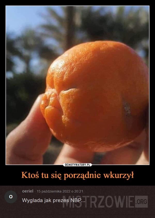 Pomarańcza –  