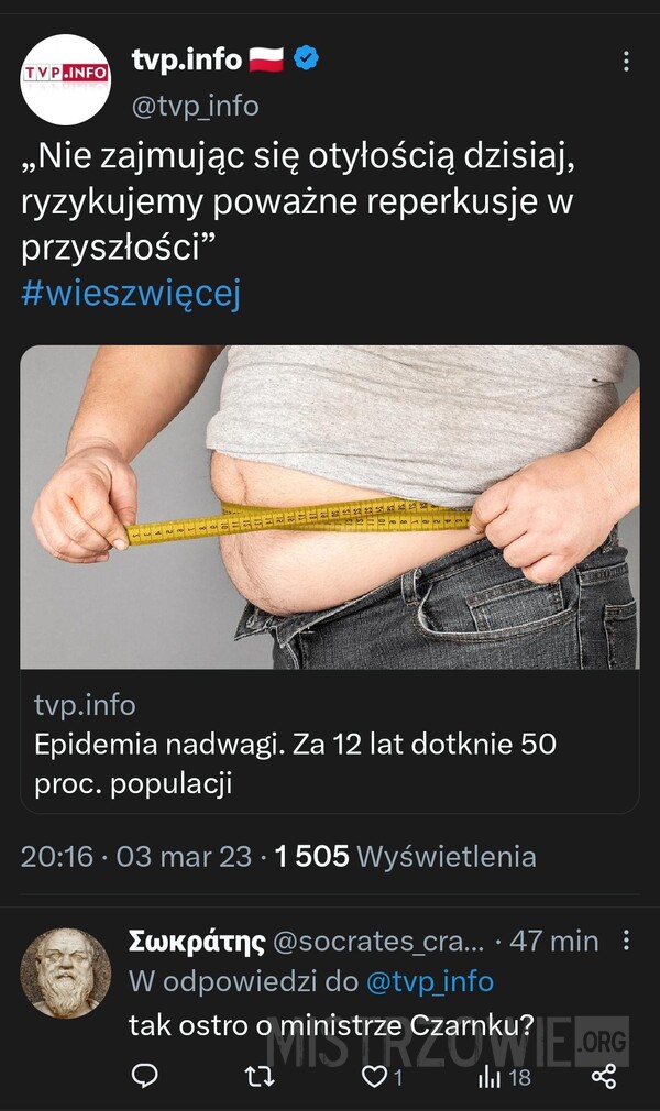 Epidemia nadwagi –  