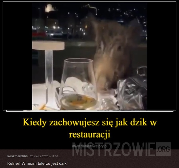 Dziki napad na restaurację –  