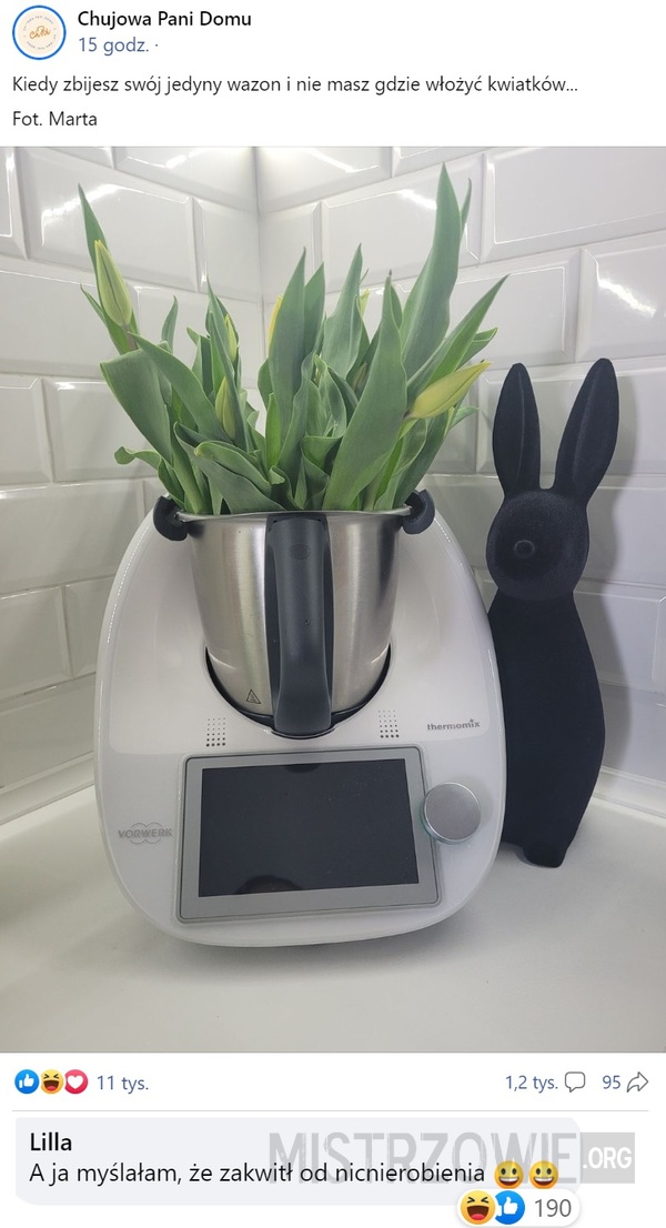 Thermomix –  