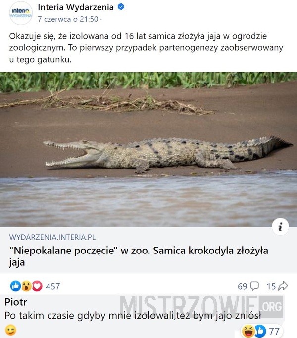 Krokodyl –  