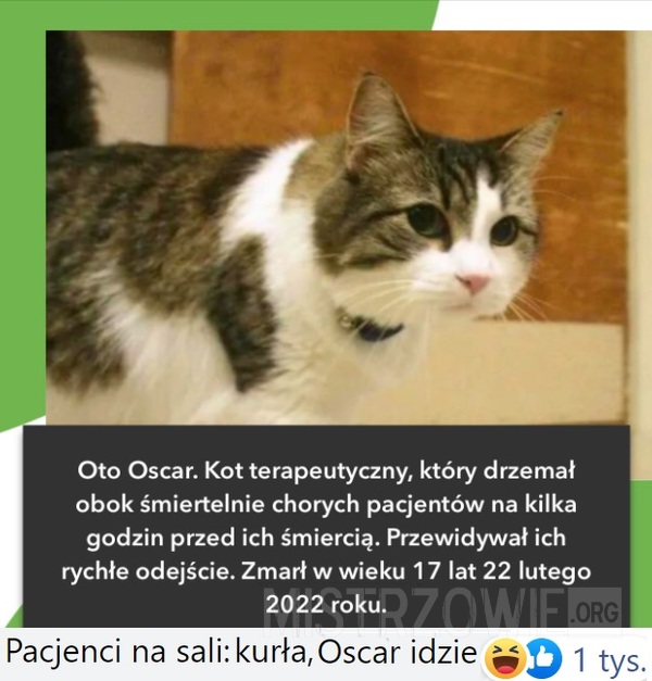 Oscar –  