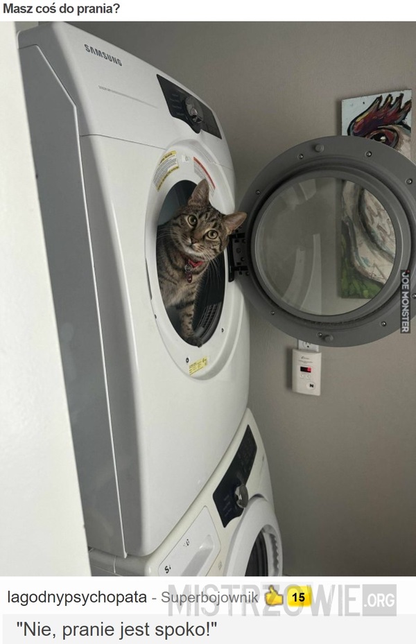 Masz coś do prania? –  