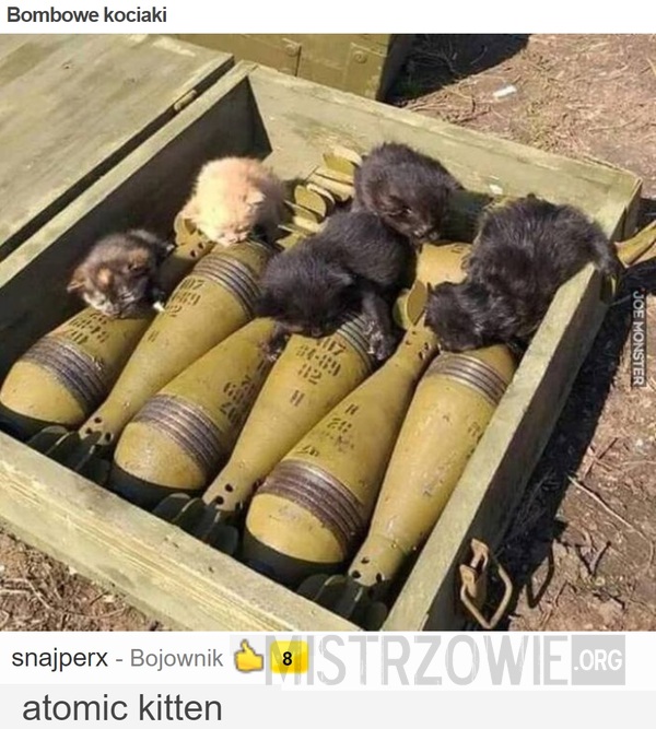 Bombowe kociaki –  