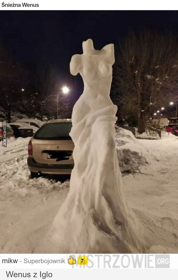 Śnieżna Wenus –  