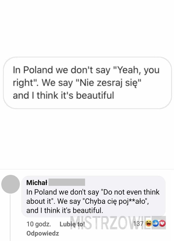 Piękno języka polskiego –  