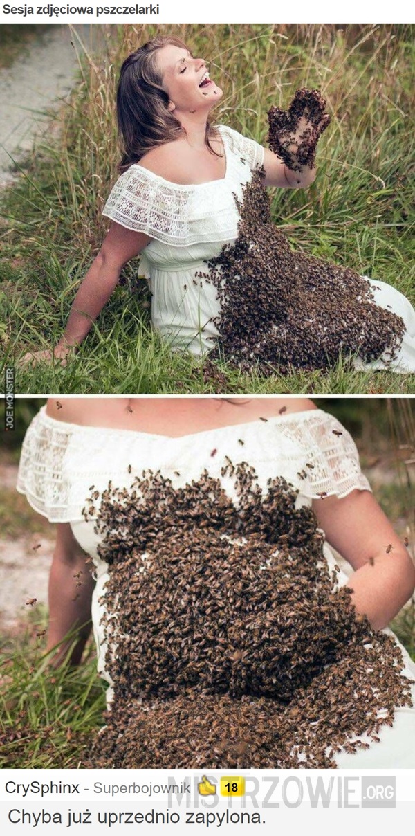 Sesja zdjęciowa pszczelarki –  