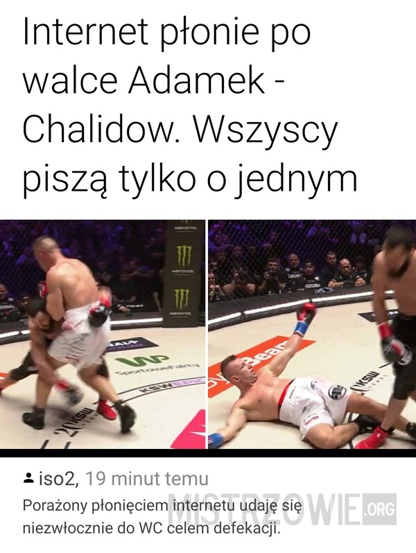 Adamek - Chalidow –  