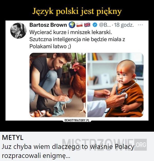 Język polski –  