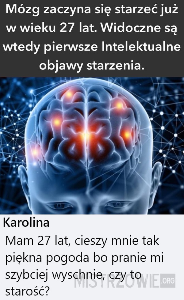 Mózg –  